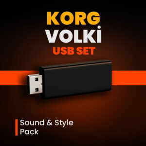 Home korg pa serisi usb set